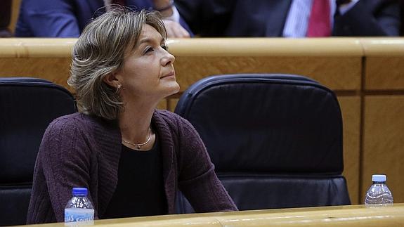 Tejerina, hoy en el Senado.