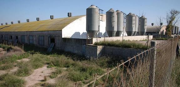 Una de las granjas porcinas instaladas en el entorno de Nueva Condomina. 