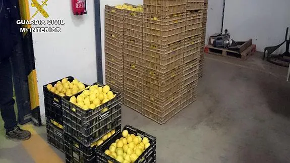 Cajas de limones interceptadas por la Guardia Civil. 