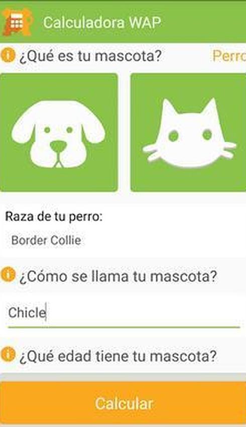 ¿Sabes qué edad tendría tu mascota si fuera una persona?