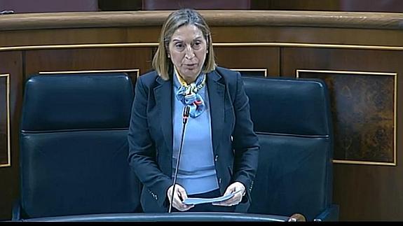 Pastor, durante su intervención en el Congreso.