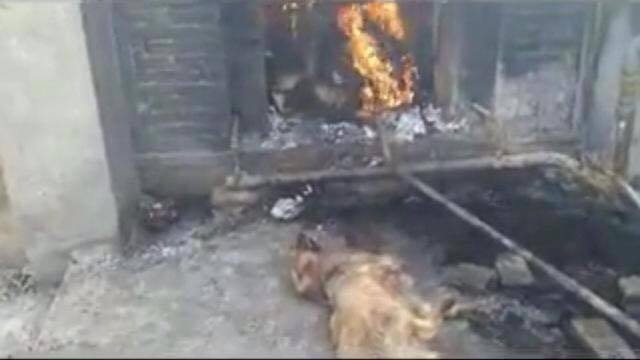 Imágenes del patio donde incineran a los perros. 