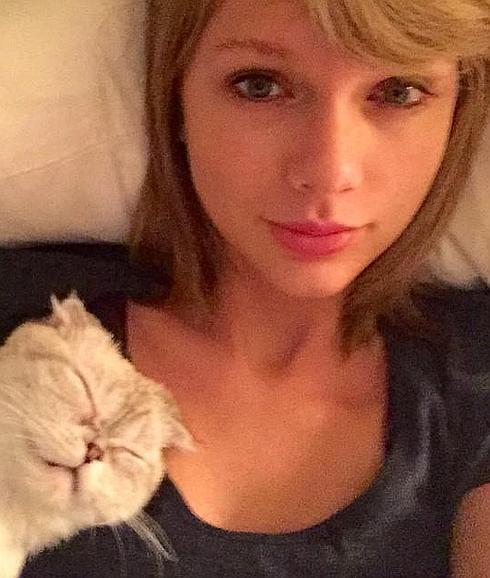 Taylor Swift con su felino