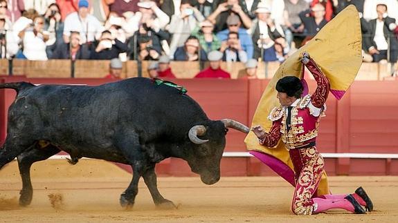 Manuel Escribano recibe a portagayola a su segundo toro, este domingo, en la Maestranza de Sevilla.
