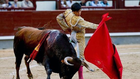 El novillero Francisco José Espada con el sexto de la tarde en Las Ventas. 