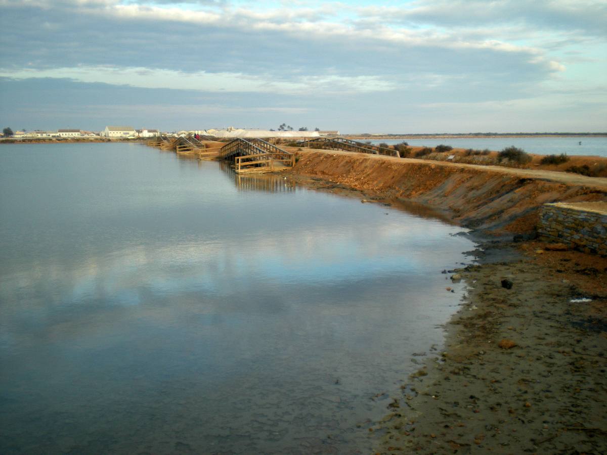 Baños de lodo en el parque regional de las Salinas y Arenales de San Pedro del Pinatar. 