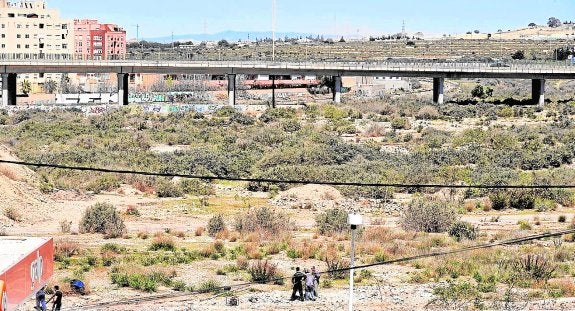 Varias personas, en los terrenos de El Hondón, con el viaducto de la autovía al fondo. 