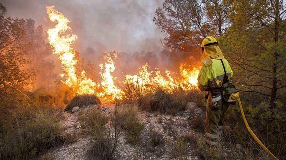 Un bombero trabaja en la extinción del incendio forestal declarado por la caída de un rayo en Zarcilla de Ramos.