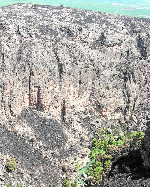 Laderas del Cañón de Almadenes, en Cieza, ayer, arrasadas por el incendio. 