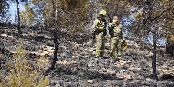 Dos miembros de las brigadas forestales que participaron ayer en la extinción del fuego en una zona calcinada por las llamas.