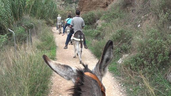 Rutas para salvar la especie