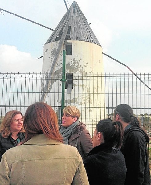 Arroyo junto a un molino.