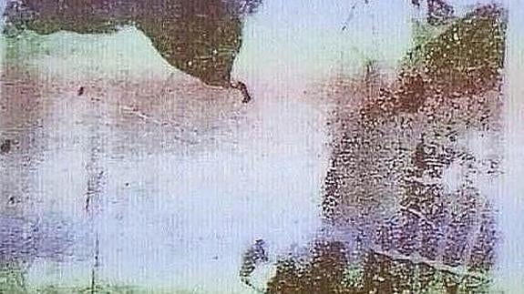 ¿Qué animal te mira en esta imagen?