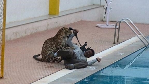 El leopardo ataca a uno de los hombres.