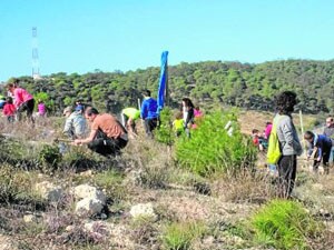 Voluntarios de Ecologistas sin Fronteras de la Región y de Melilla trabajan en la reforestación de la zona del barranco del Nano, en Melilla.