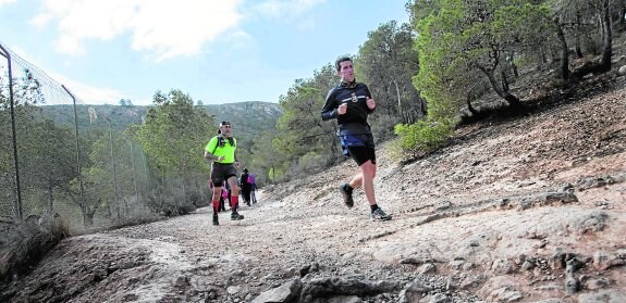 Varios corredores preparan la Ruta de las Fortalezas, en la falda del monte Roldán, en una imagen de archivo. :: j. m. rodríguez / agm
