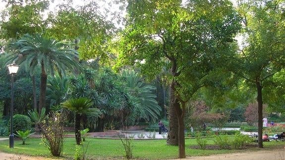 Parque de Maria Luisa, en Sevilla.