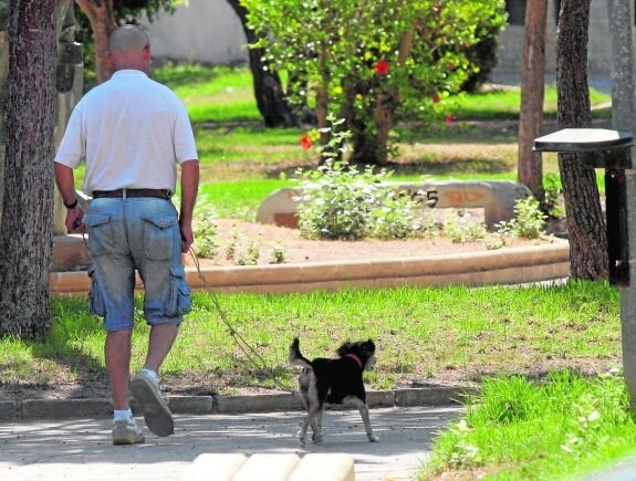 Un hombre pasea con su perro por un jardín de Cartagena, en una imagen de archivo. 