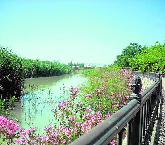El cauce del río Segura, junto al paseo ribereño de Archena. 