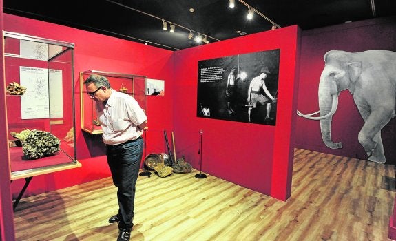 Un hombre observa varios bloques de mineral extraídos de Cueva Victoria, en el Museo Arqueológico de Murcia.