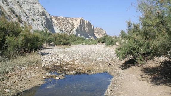 El cauce del río Mula a su paso por Campos del Río. 