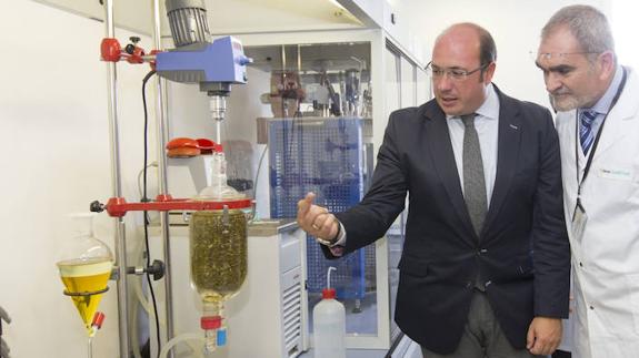 Pedro Antonio Sánchez visita la nueva planta de la farmacéutica Laboratorios Ferrer. 