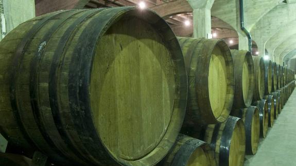 Sala de crianza del vino de Denominación de Origen Jumilla de las bodegas San Isidro.