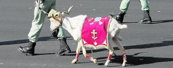 'Pepe', la cabra de la Legión, antes de jubilarse, durante el desfile de la Fiesta Nacional, en Madrid. 