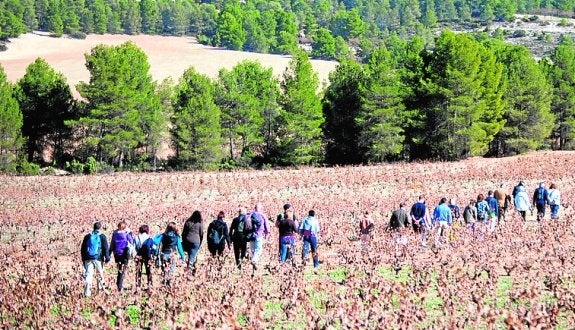 Recorrido por la Hoya de Ongil.