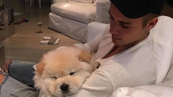 Justin Bieber se desentiende de su perro