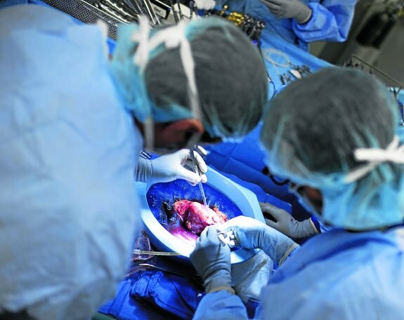 Los trasplantes salvan vidas. En España, en 2015, fueron trasplantadas 4.769 personas. 