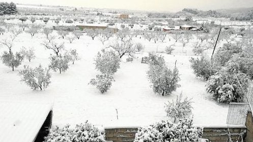 Los campos que rodean Casas Nuevas, pedanía de Mula. 
