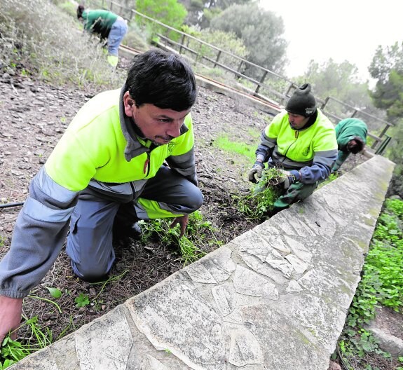 Los cuatro trabajadores de Fundown se afanan en recuperar el Jardín Botánico Arboretum, en El Valle.