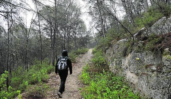 Un montañero camina por un sendero del espacio natural protegido.