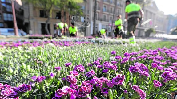 Operarios de Parques y Jardines plantan, ayer, un manto de claveles chinos en los parterres de la plaza de la Glorieta. 