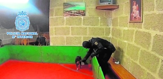 Uno de los agentes, en el ring de Canarias en el que parte de la banda fue sorprendida 'in fraganti'.
