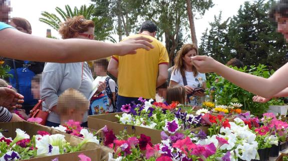 Un puesto de flores, en el colegio San Miguel.