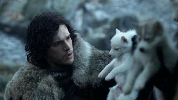 Juego de Tronos: Muere 'Fantasma', el perro que interpretaba al mejor amigo  de Jon Nieve | La Verdad