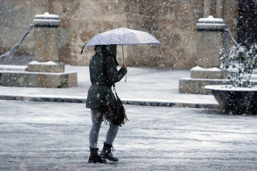 Temporal de nieve en la provicia de León