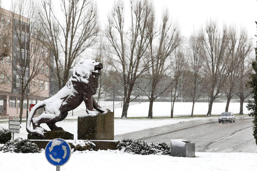 Temporal de nieve en la provicia de León