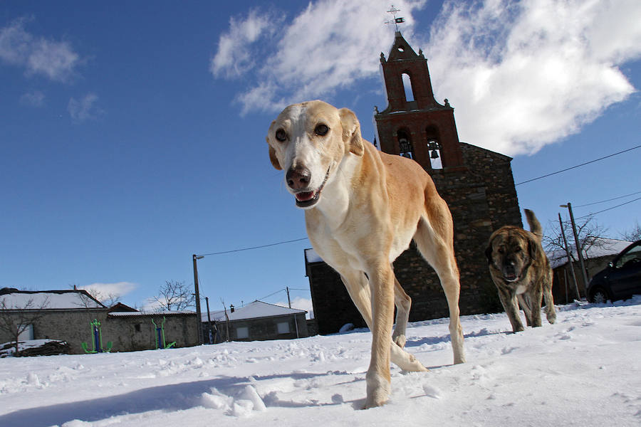 Temporal de nieve en la provicia de León