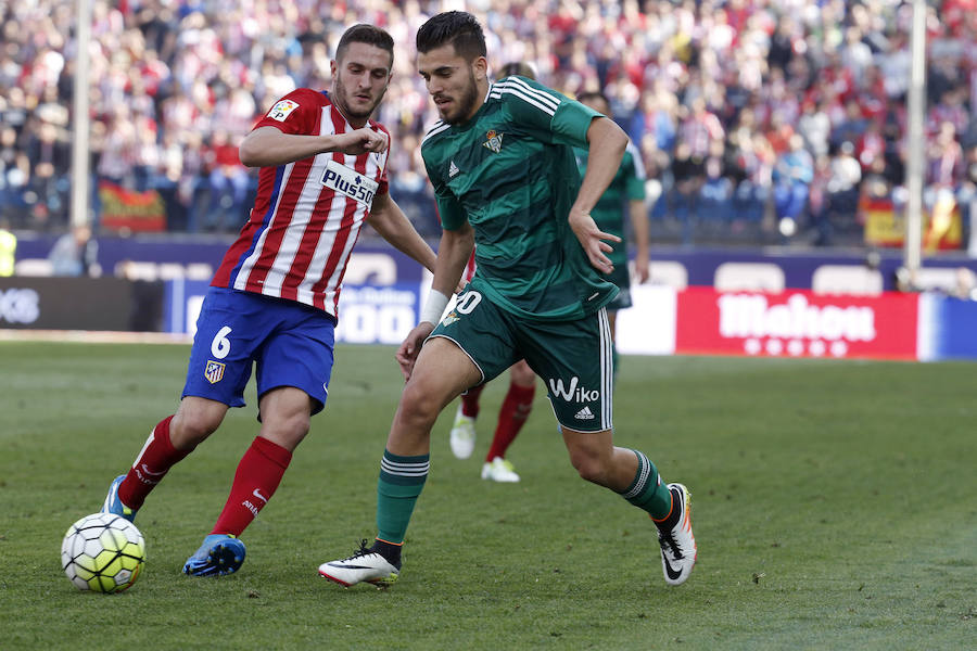 Las mejores imágenes del Atlético de Madrid - Betis