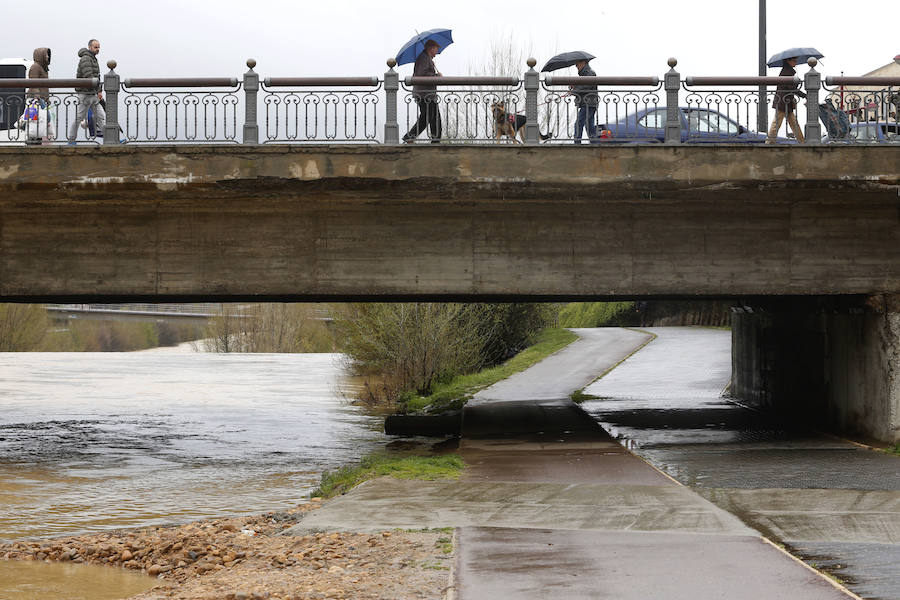 Así están los ríos leoneses