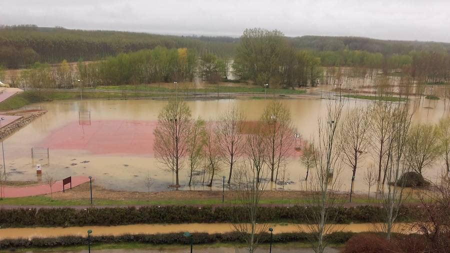 Así están los ríos leoneses