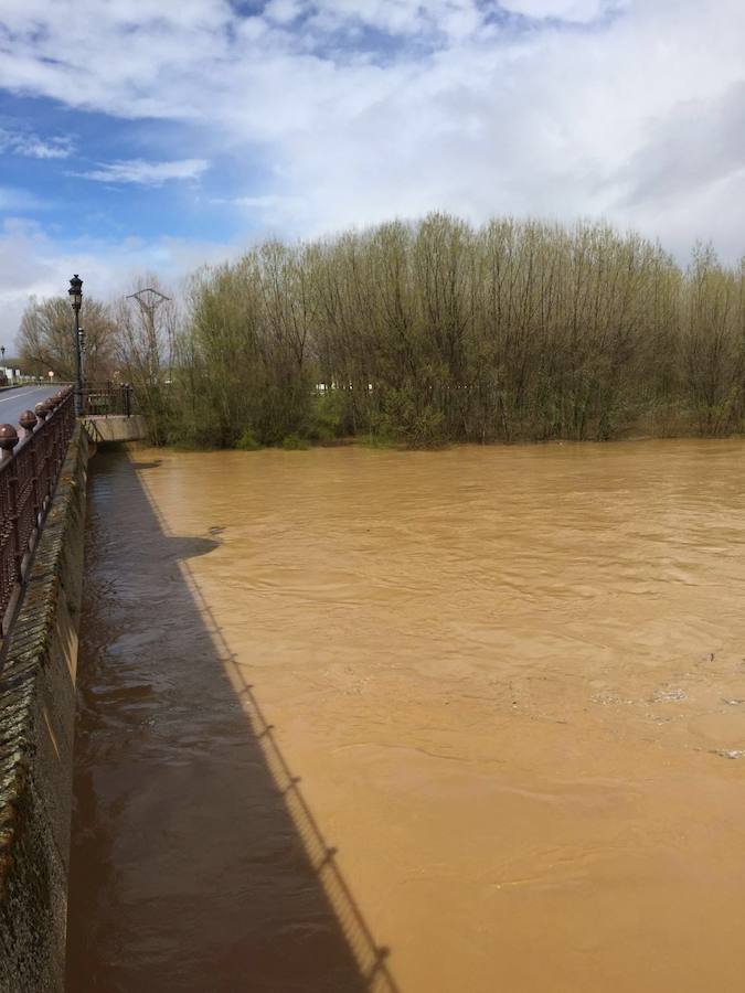 Así están los ríos leoneses
