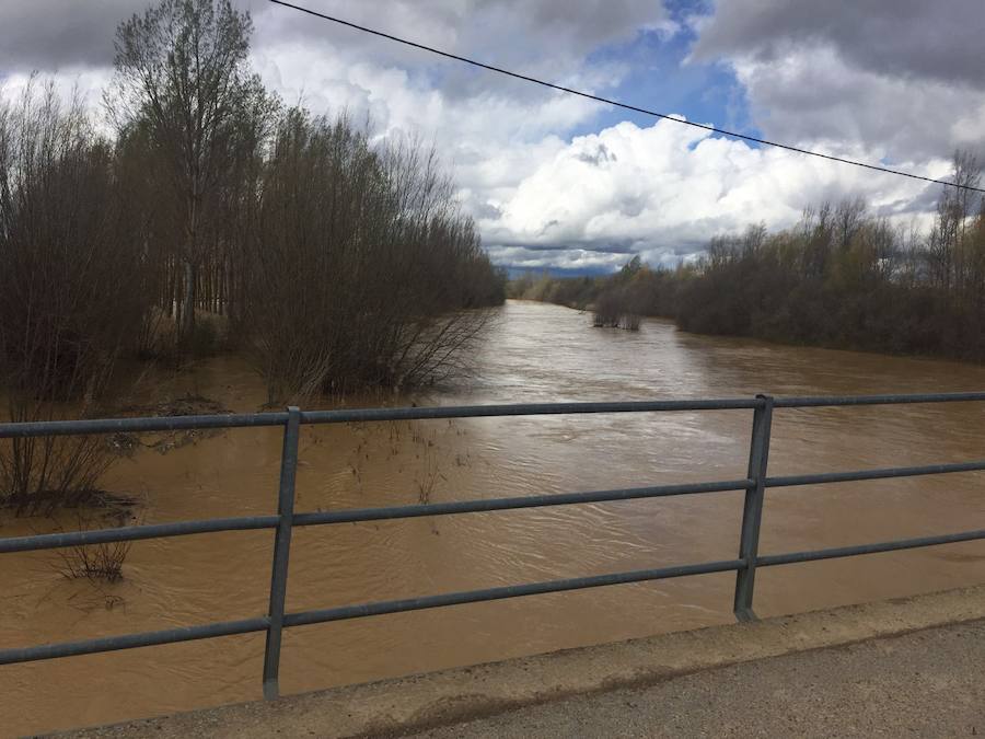Así están los ríos leoneses