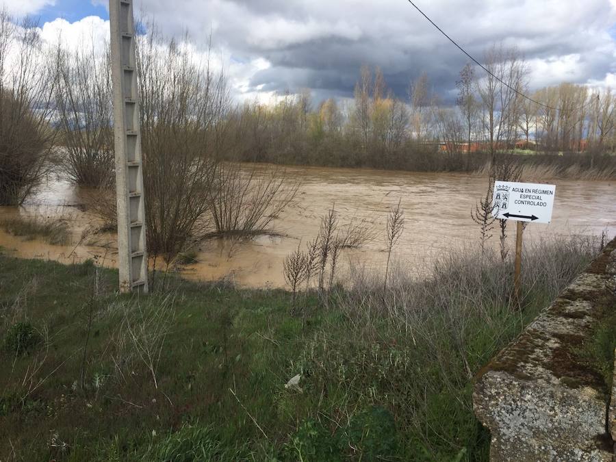 Así están los ríos leoneses