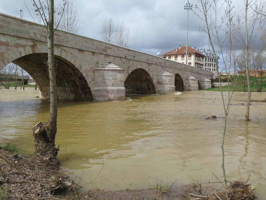 El Torío baja con abundante caudal