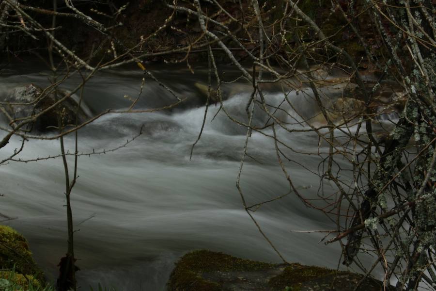 Biosfera trail 2016 (III)