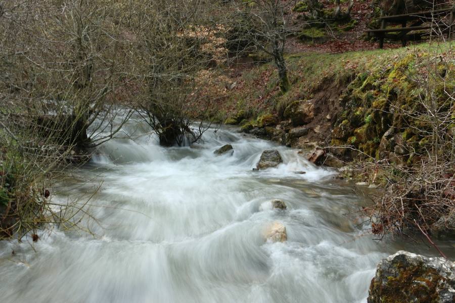 Biosfera trail 2016 (III)